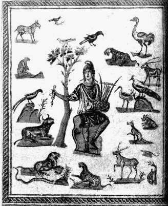 orfeo3.JPG (32409 byte)